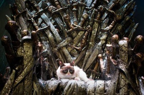 «Игра престолов» в кошачьем и собачьем исполнении и другой юмор