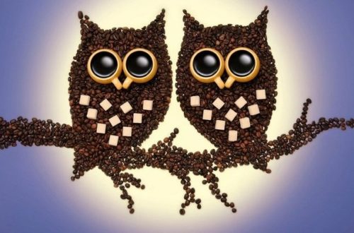 Кофейные фантазии: идеи и мастер-классы поделок из зерен кофе