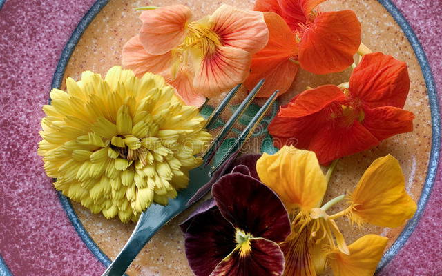 Какие цветы едят? Цветочная кулинария