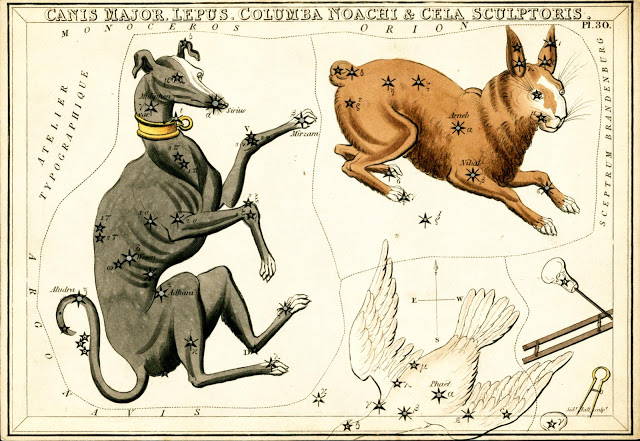 Зодиакальный гороскоп вашей собаки