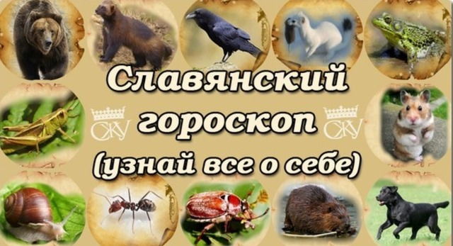Тотемный месяцеслов — славянский гороскоп животных