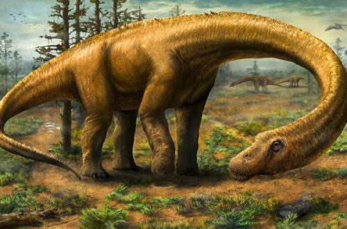 Очень много лет назад… — динозавры в стихах для детей