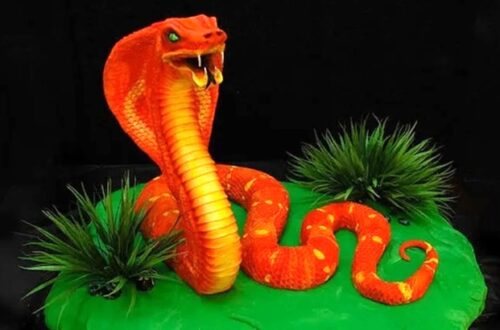 Торты и десерты «Змея» — рецепты, идеи оформления